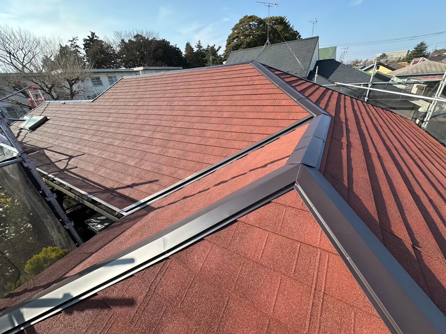 ディプロマットスター